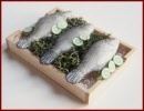 SA337 Tray of Fish on Ice